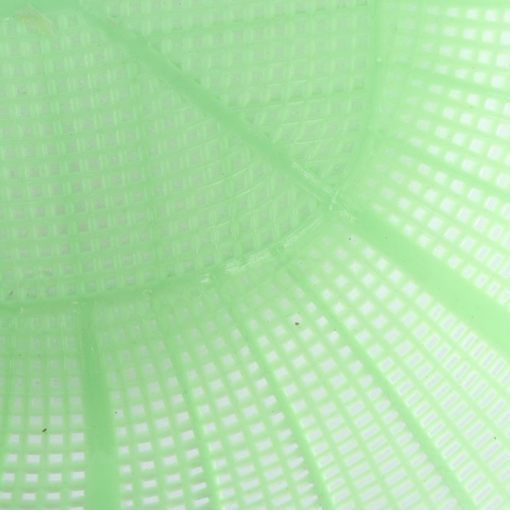 Colander - Assorted - Dollars and Sense