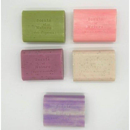 Scents of Nature Bar Soap - Dollars and Sense