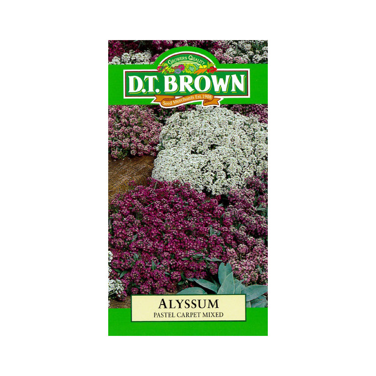 Buy DT Brown Alyssum Pastel Carpet Seeds | Dollars and Sense