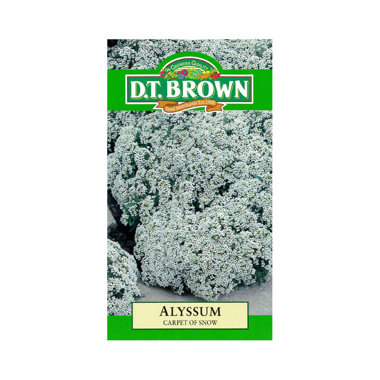 Buy DT Brown Alyssum Carpet Of Snow Seeds | Dollars and Sense