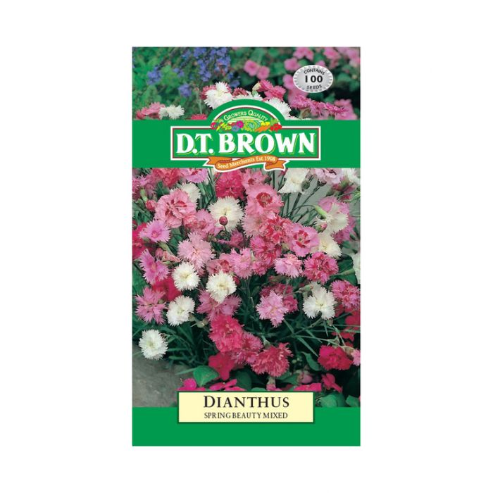 Buy DT Brown Dianthus Spring Beauty Seeds | Dollars and Sense