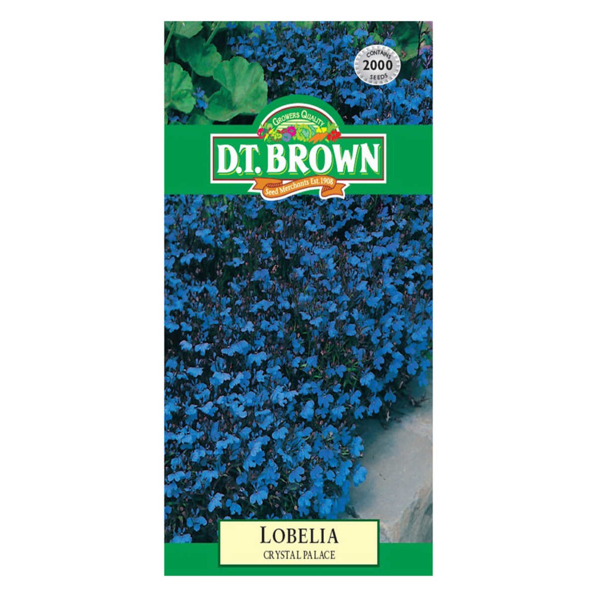 Buy DT Brown Lobelia Crystal Palace Seeds | Dollars and Sense