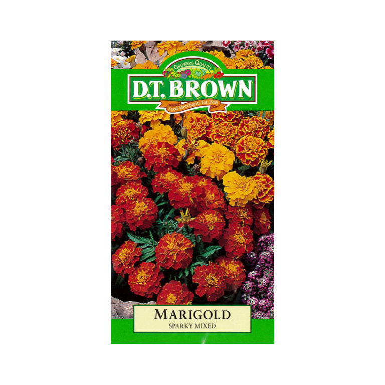 Buy DT Brown Marigold Sparky Mixed Seeds | Dollars and Sense