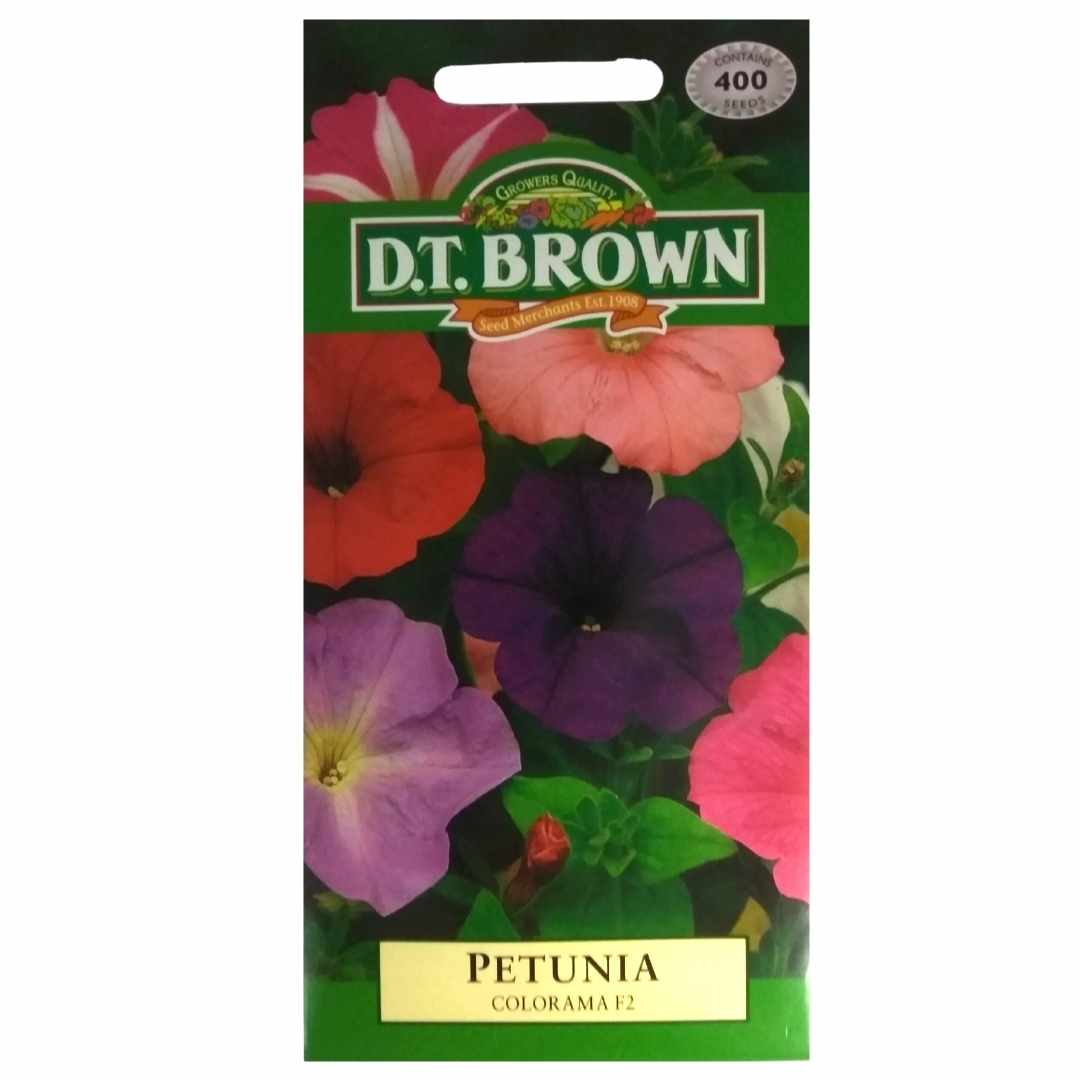 Buy DT Brown Petunia Colorama F2 Seeds | Dollars and Sense