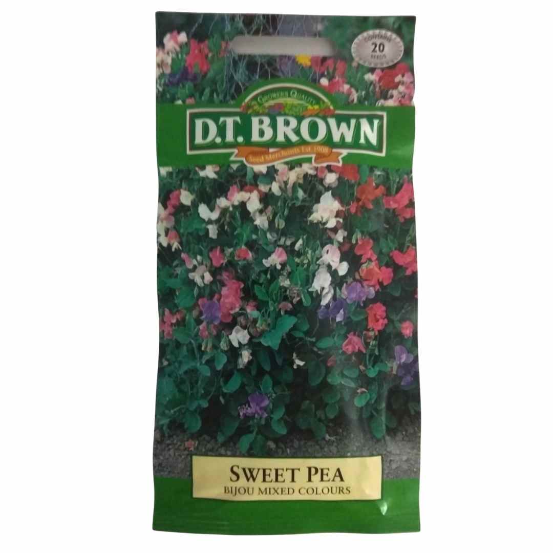 Buy DT Brown Sweet Pea Bijou Mixed Seeds | Dollars and Sense