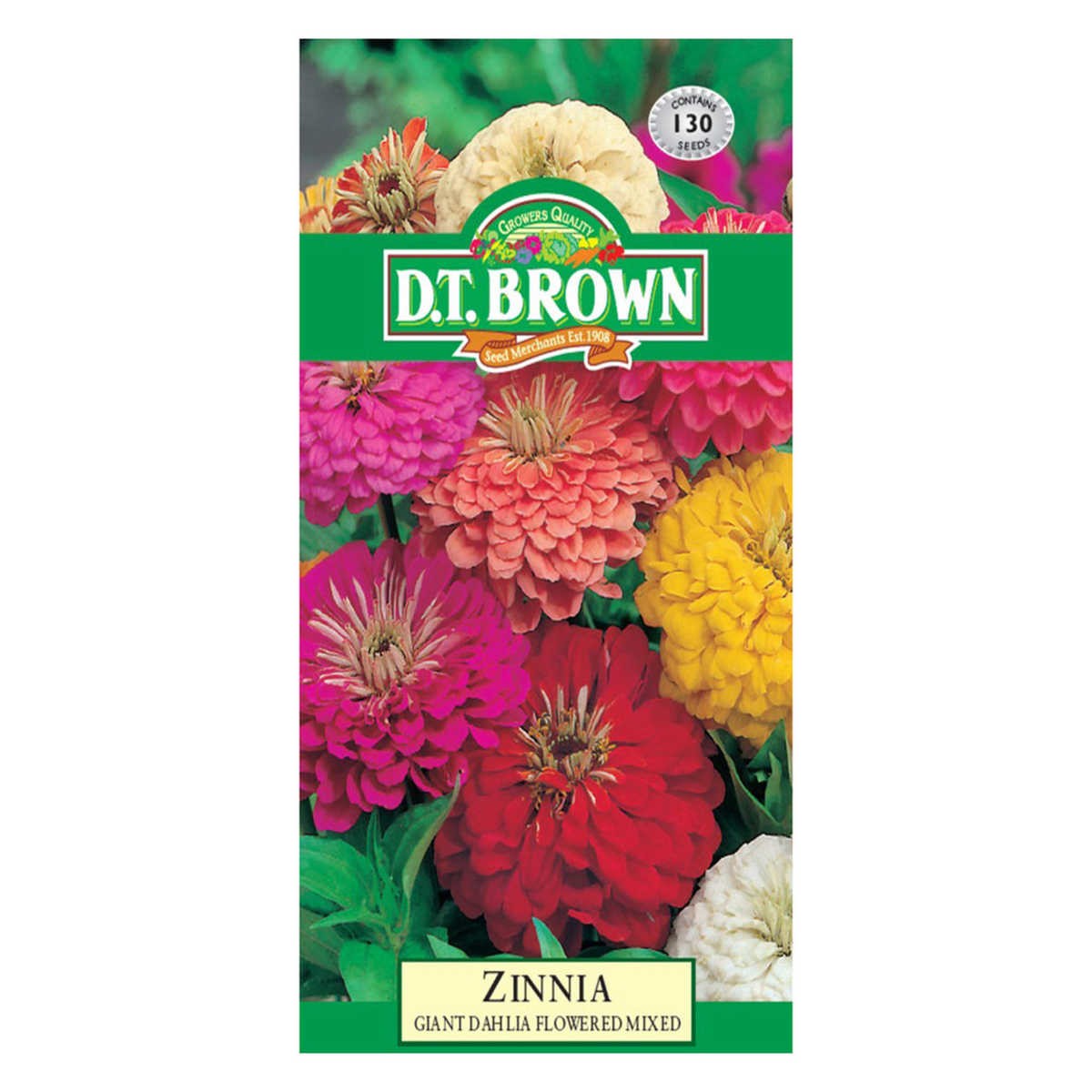 Buy DT Brown Zinnia Giant Dahlia Seeds | Dollars and Sense