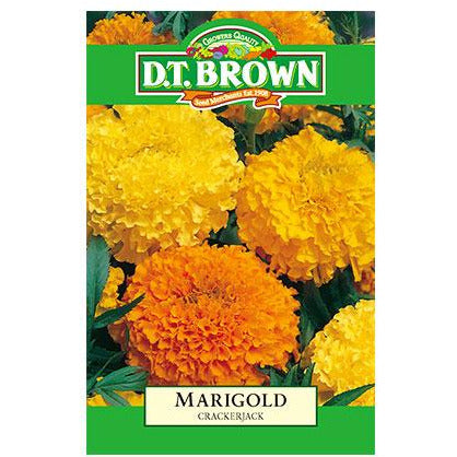 Buy DT Brown Marigold Crackerjack Seeds | Dollars and Sense
