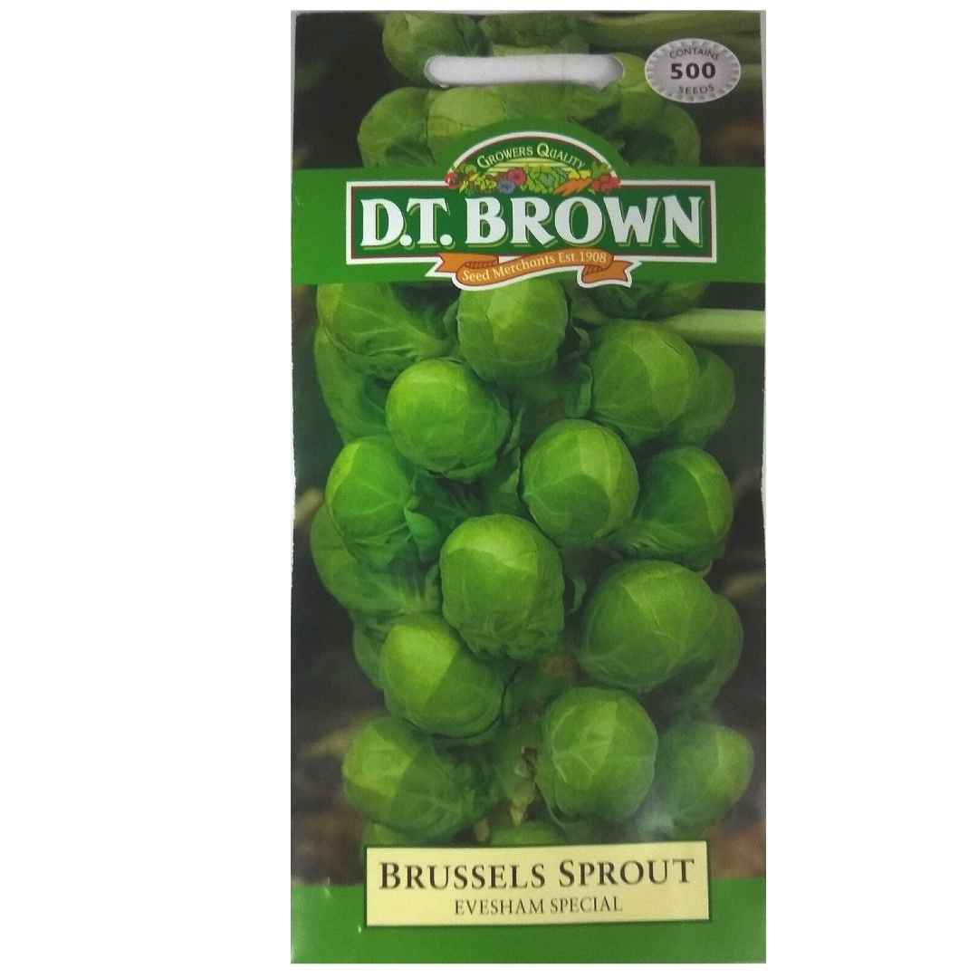 Buy DT Brown Brussels Sprout Evesham Seeds | Dollars and Sense