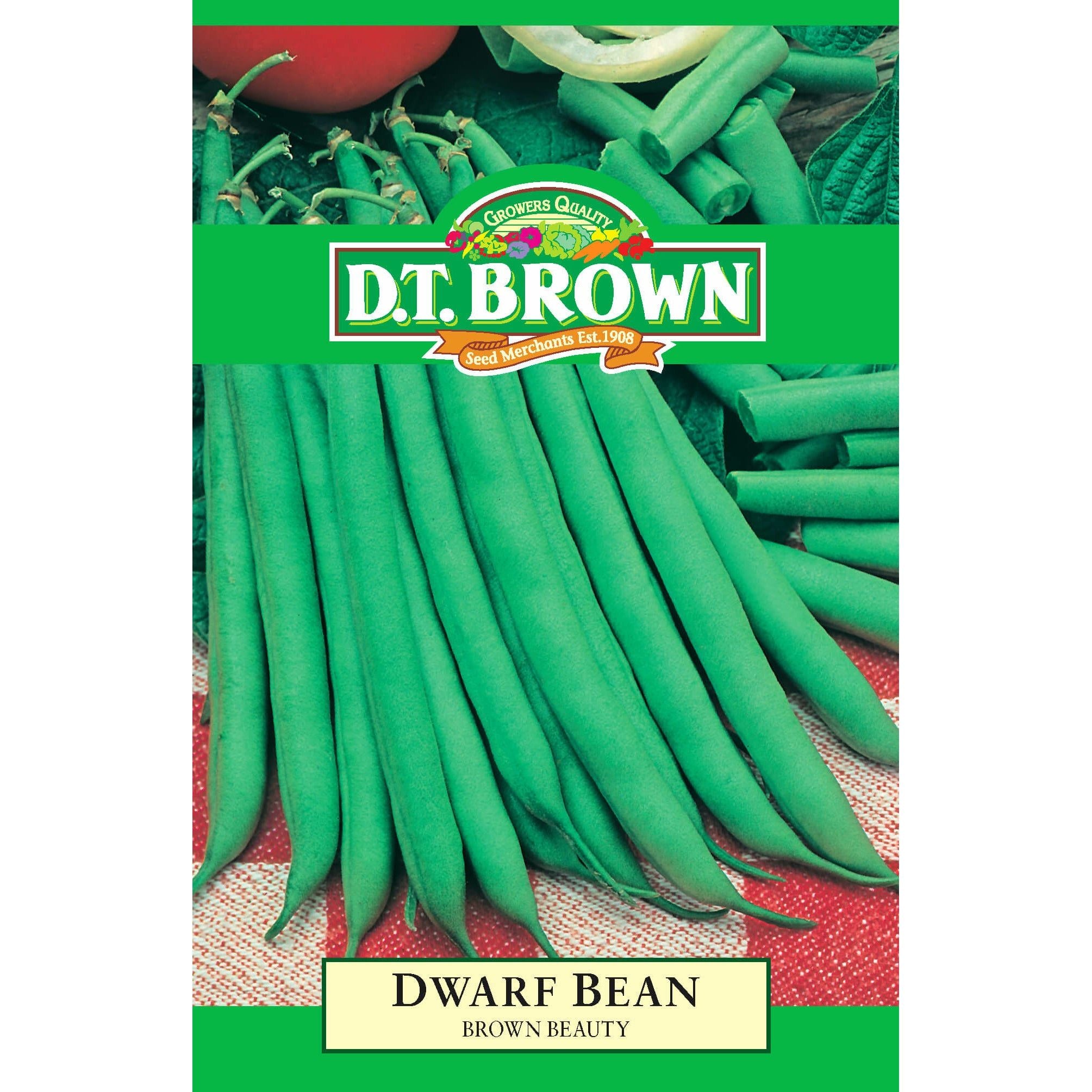 Dwarf Bean Brown Beauty Seeds - Dollars and Sense