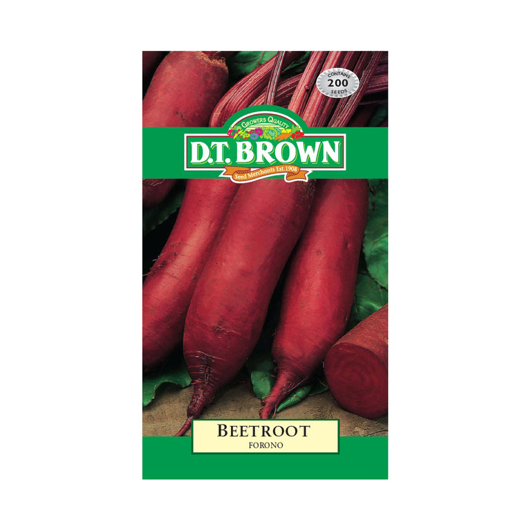Buy DT Brown Beetroot Forono Seeds | Dollars and Sense