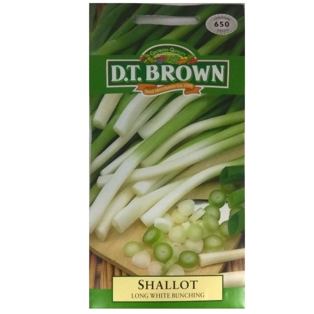 Buy DT Brown Shallot Longwhite Bunching Seeds | Dollars and Sense