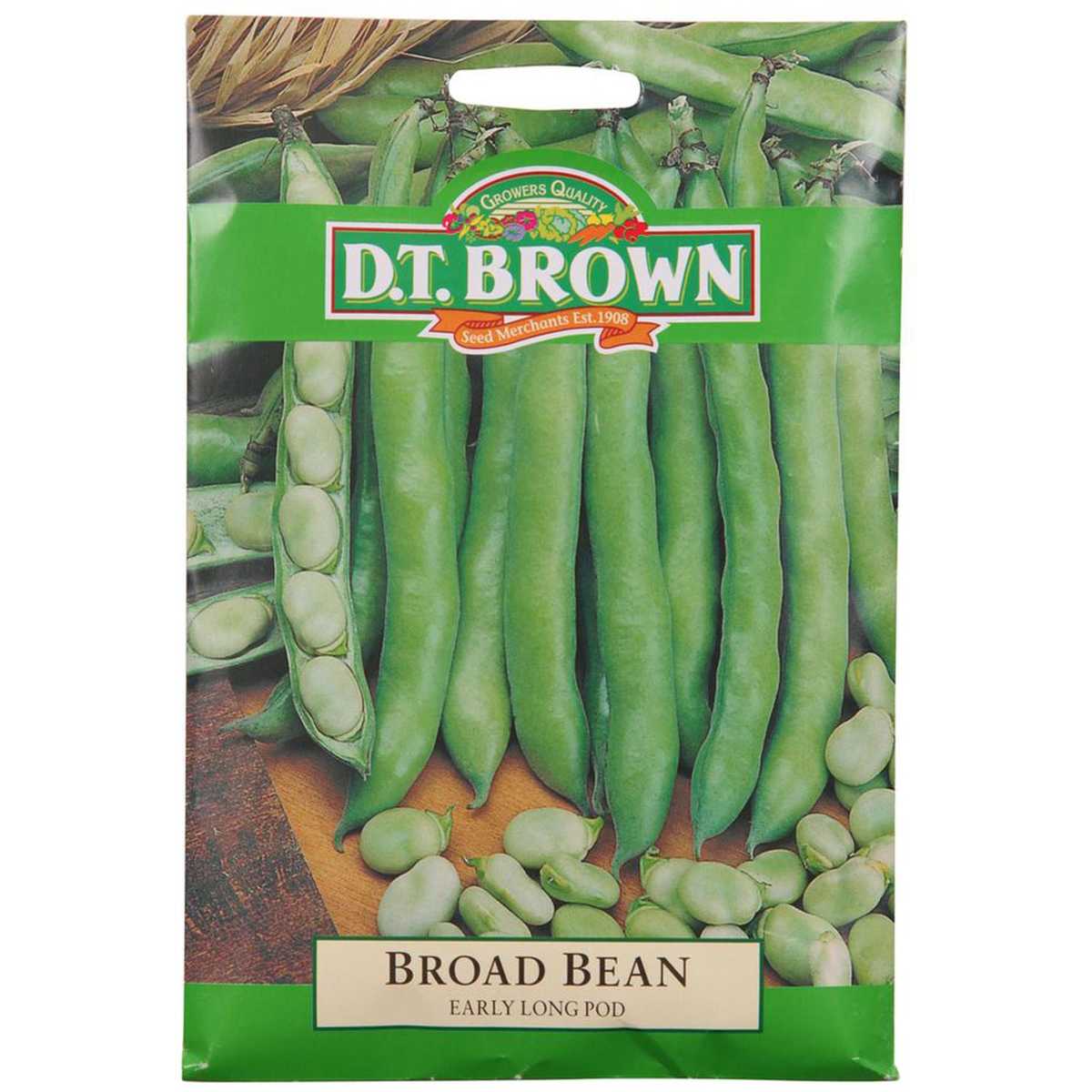 Buy DT Brown Broad Bean Early Long Pod Seeds | Dollars and Sense