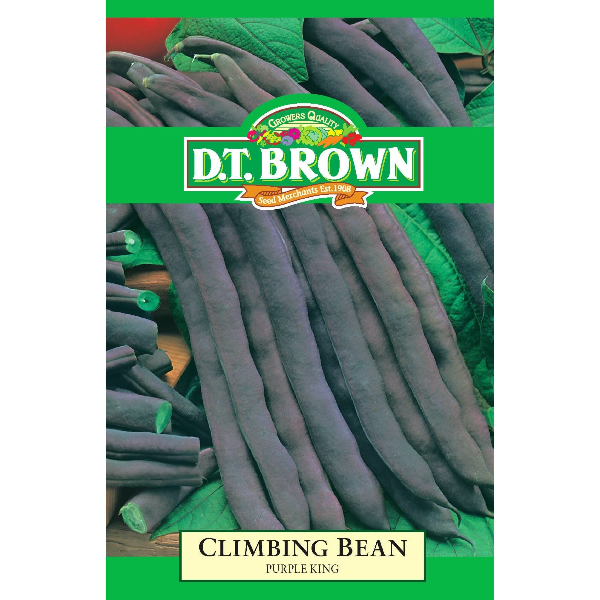 Climbing Bean Purple King Seeds - Dollars and Sense