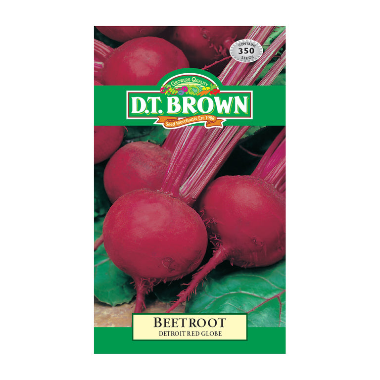 Buy DT Brown Beetroot Detroit Seeds | Dollars and Sense