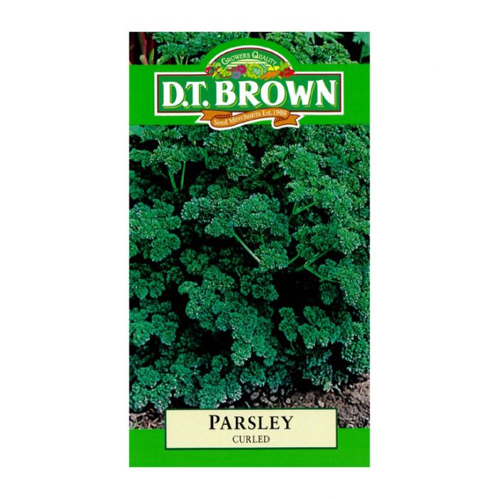 Buy DT Brown Curled Parsely Seeds | Dollars and Sense