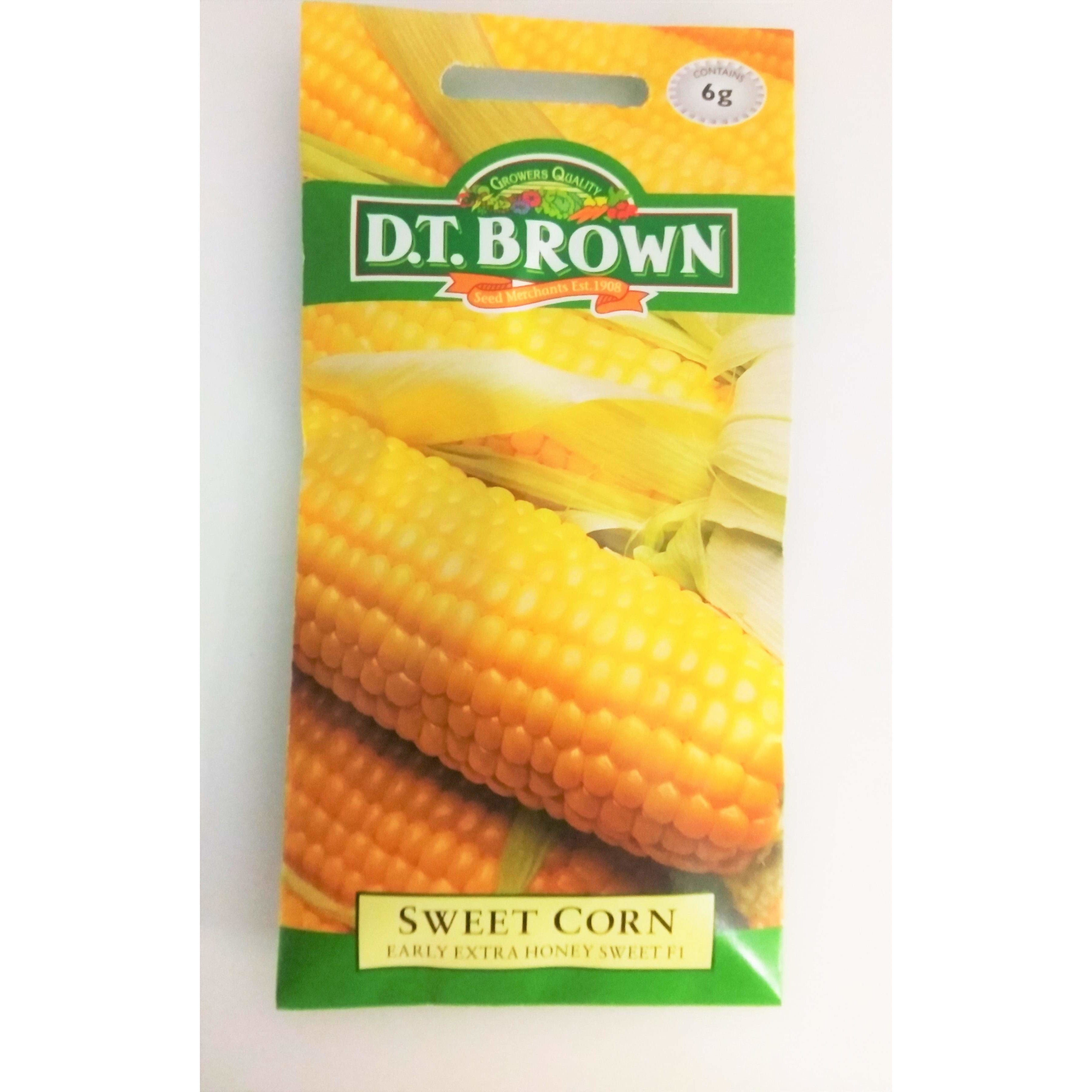 Sweet Corn Early Extra Honey Sweet Seeds - Dollars and Sense
