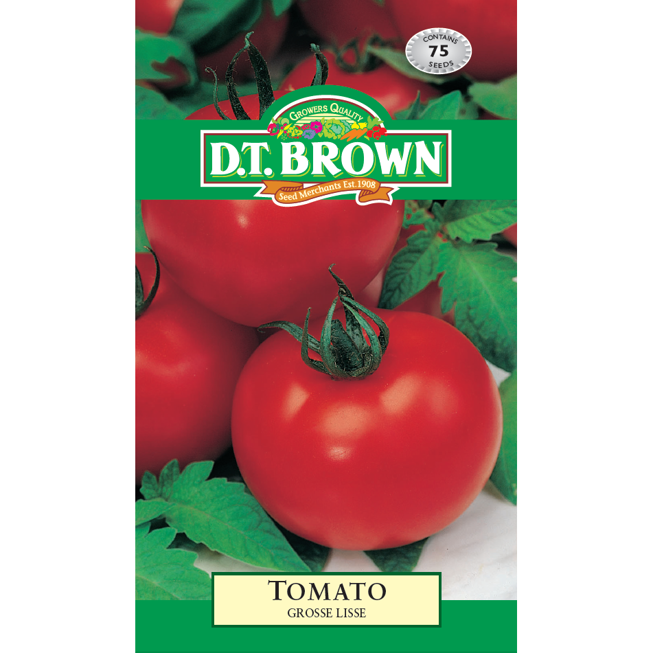 Tomato Grosse Lisse Seeds - Dollars and Sense