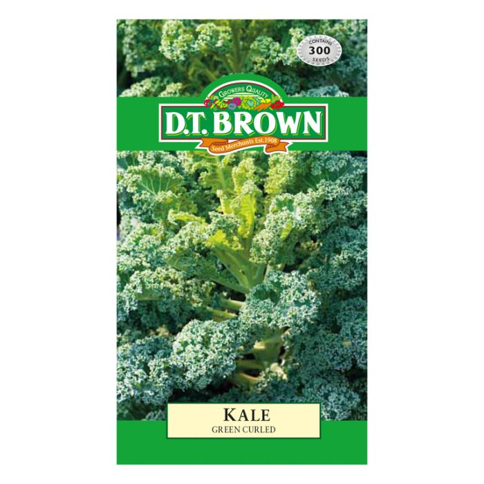 Buy DT Brown Kale Dwarf Green Curled Seeds | Dollars and Sense