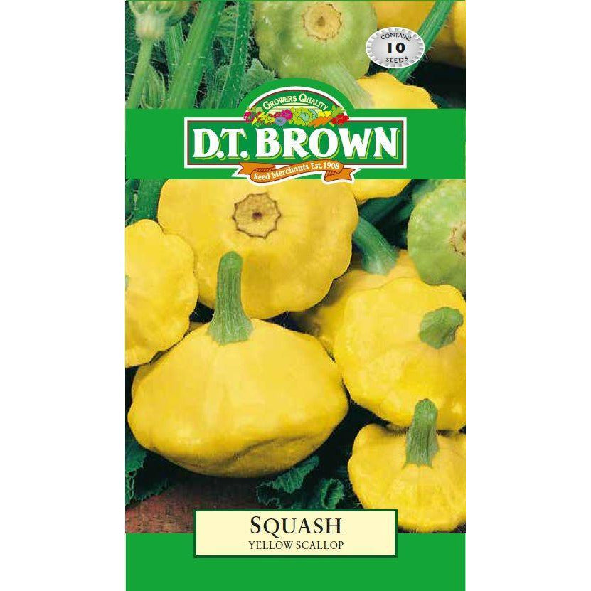 Buy DT Brown Squash Yellow Scallop Seeds | Dollars and Sense