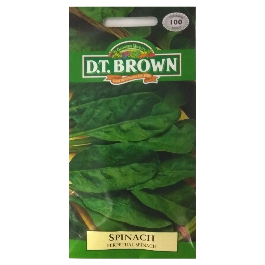 Buy DT Brown Spinach Beet Perpetual Seeds | Dollars and Sense
