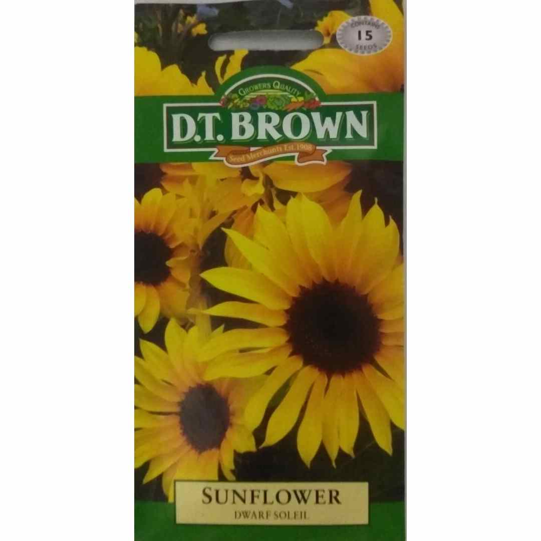 Buy DT Brown Sunflower Dwarf Soleil Seeds | Dollars and Sense