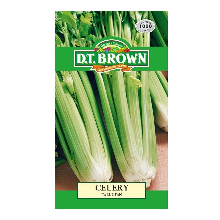 Buy DT Brown Celery Tall Utah Seeds | Dollars and Sense