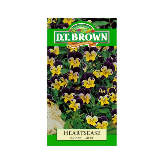 Buy DT Brown Heartsease Johnny Jump Seeds | Dollars and Sense