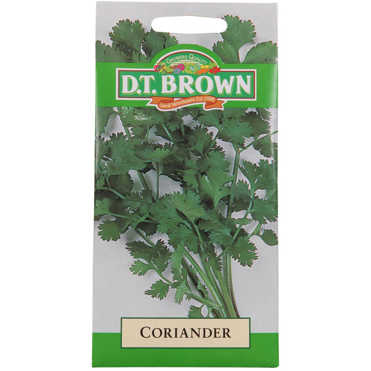 Buy DT Brown Coriander Seeds | Dollars and Sense
