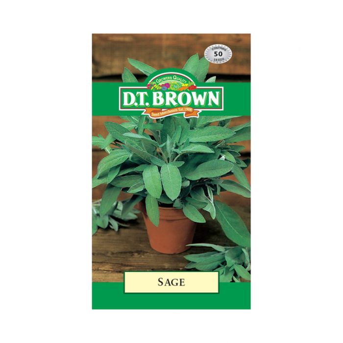 Buy DT Brown Sage Seeds | Dollars and Sense