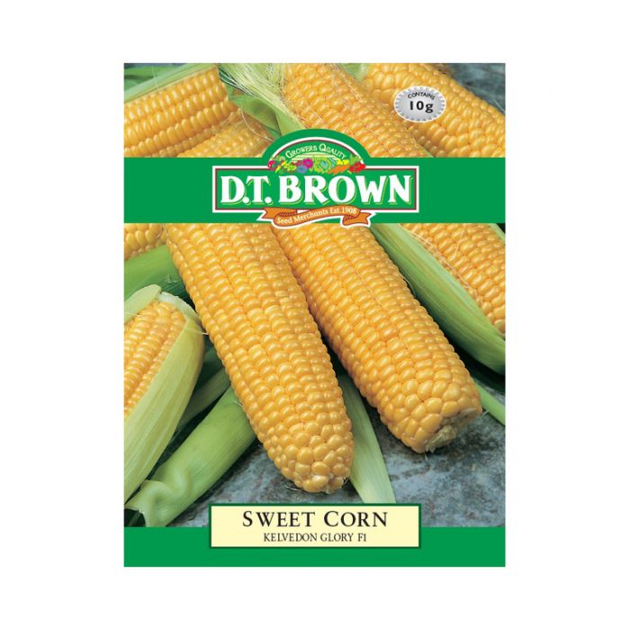 Buy DT Brown Sweet Corn Kelvedon Seeds | Dollars and Sense