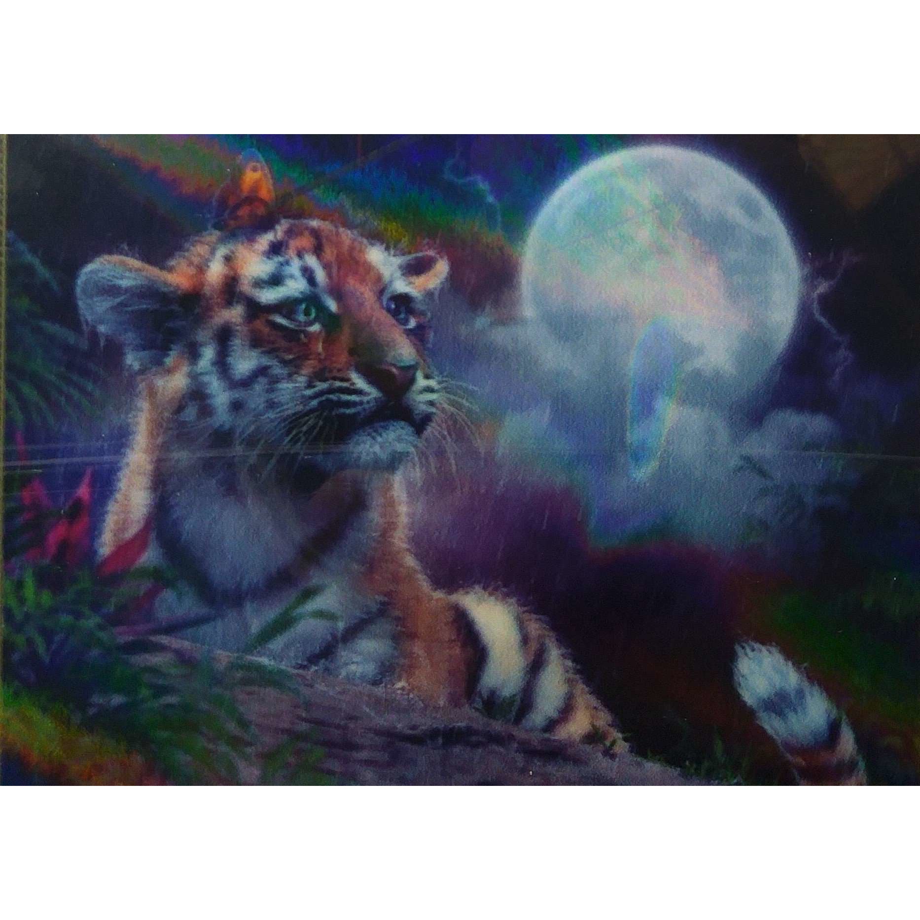 Diamond Art 30x30cm Tiger and Moon