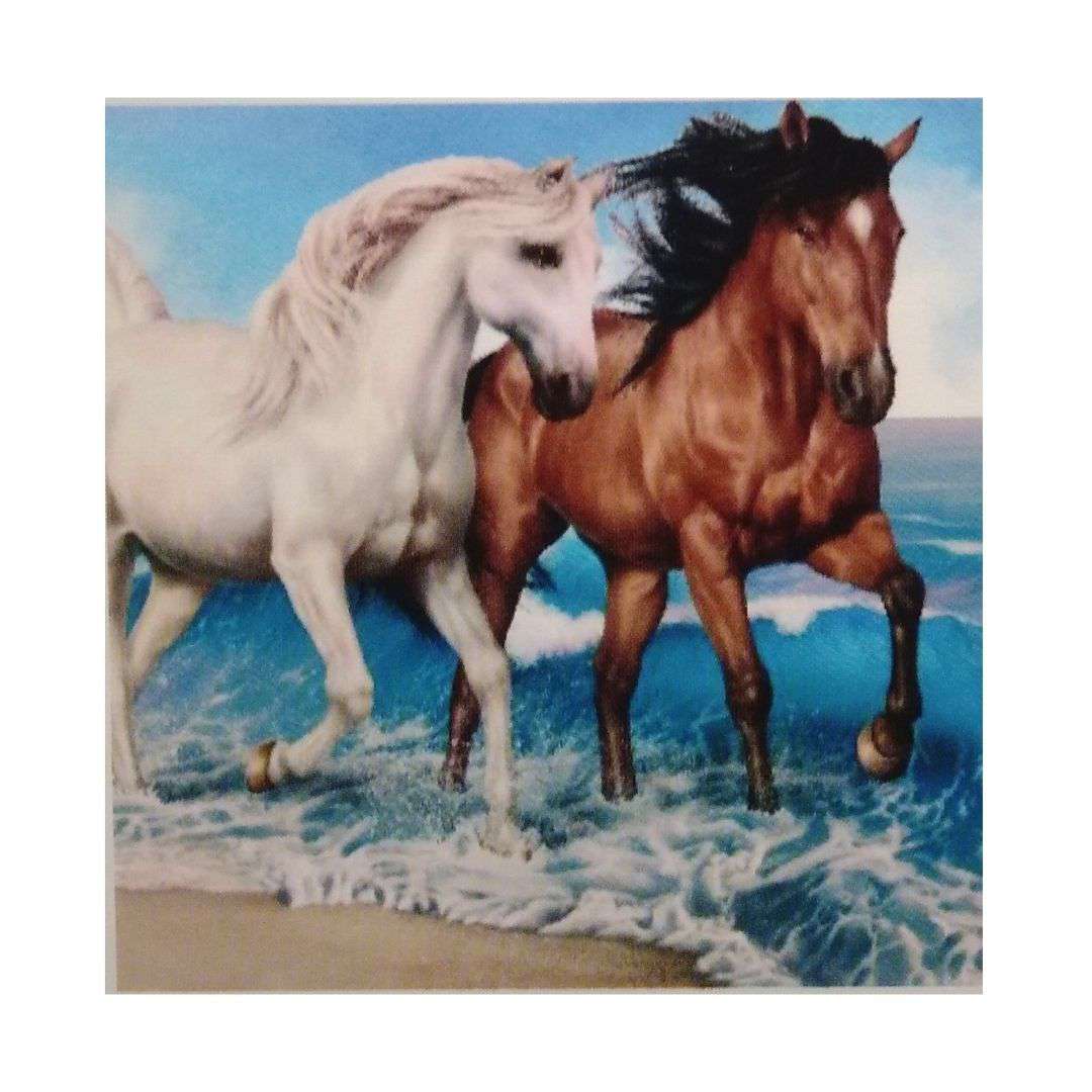 Diamond Art 30x40cm Horses