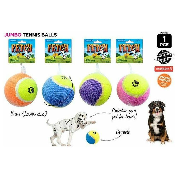 Pet Jumbo Fetch Tennis Ball - 10cm 1 Piece Assorted - Dollars and Sense