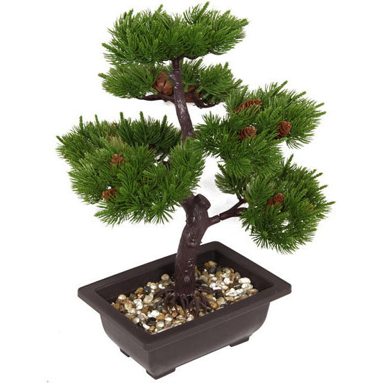 Bonsai Relaxation Tree in Pot - Dollars and Sense