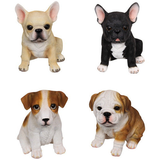 Cute Puppy Dogs - Dollars and Sense