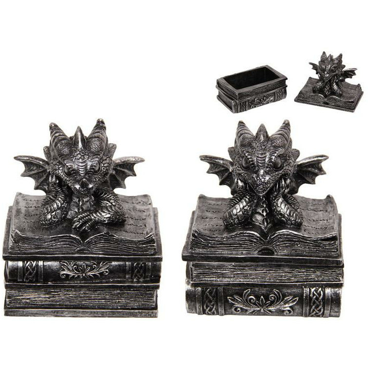 Silver Dragon on Book of Knowledge Box - 1pce Assorted 12cm Default Title