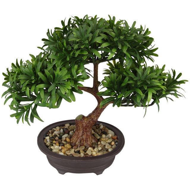 Bonsai Tree in Pot - Dollars and Sense