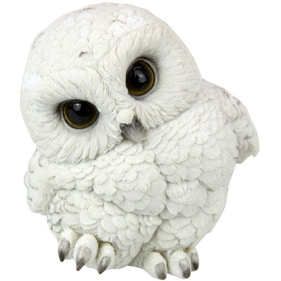 Cute White Owl - Dollars and Sense