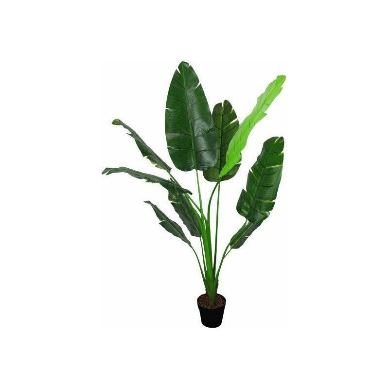 Travellers Palm Tree with Pot - 180cm - Dollars and Sense