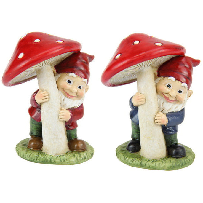 Gnome Under Mushroom - Dollars and Sense