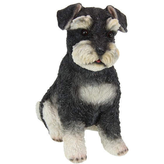 Sitting Schnauzer Dog - Dollars and Sense