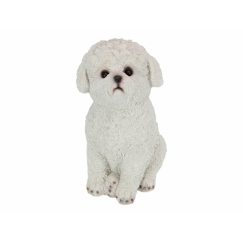 White Sitting Cute Bichon Frise Dog - 25cm Default Title