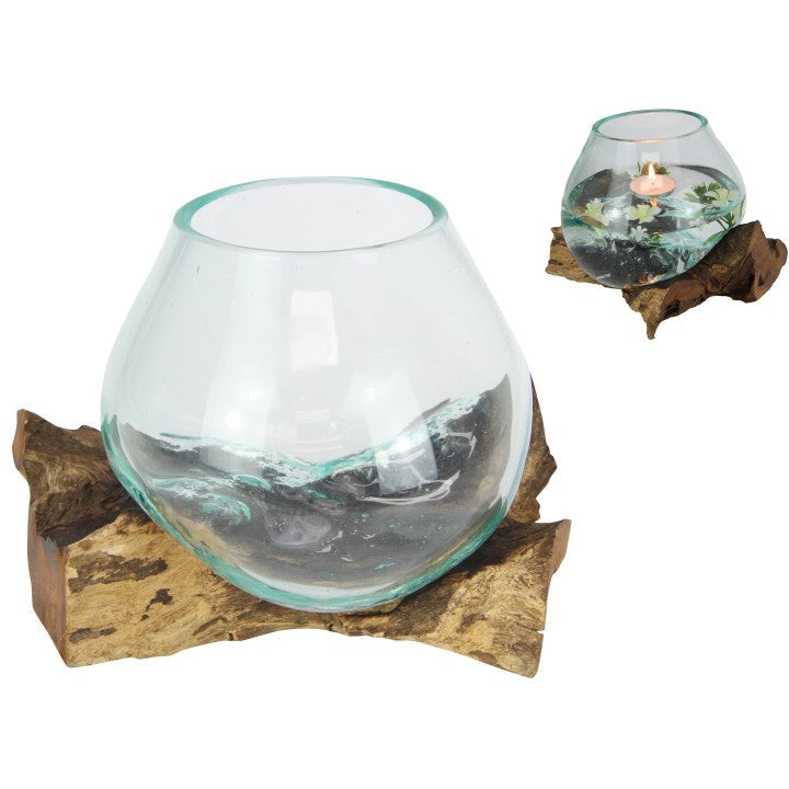 Unique Hand Blown Glass Fish Bowl Terrarium on Natural Driftwood - Dollars and Sense