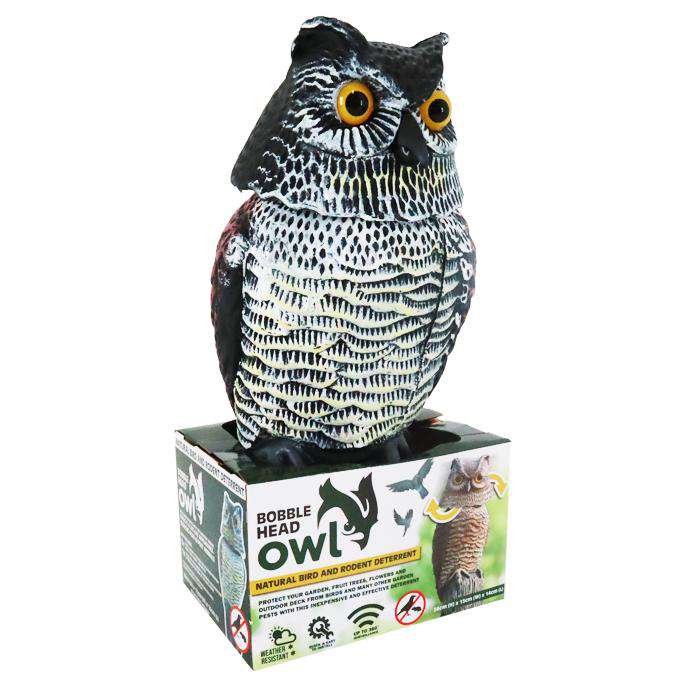 Buy Outdoor Owl Bobble Head | Dollars and Sense