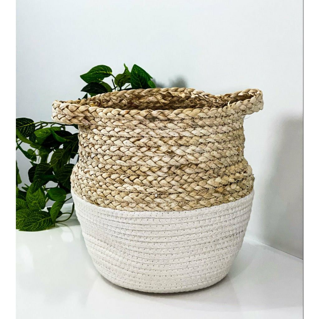 Maize with Cotton Rope Storage Basket - 24x30cm 1 Piece Assorted - Dollars and Sense