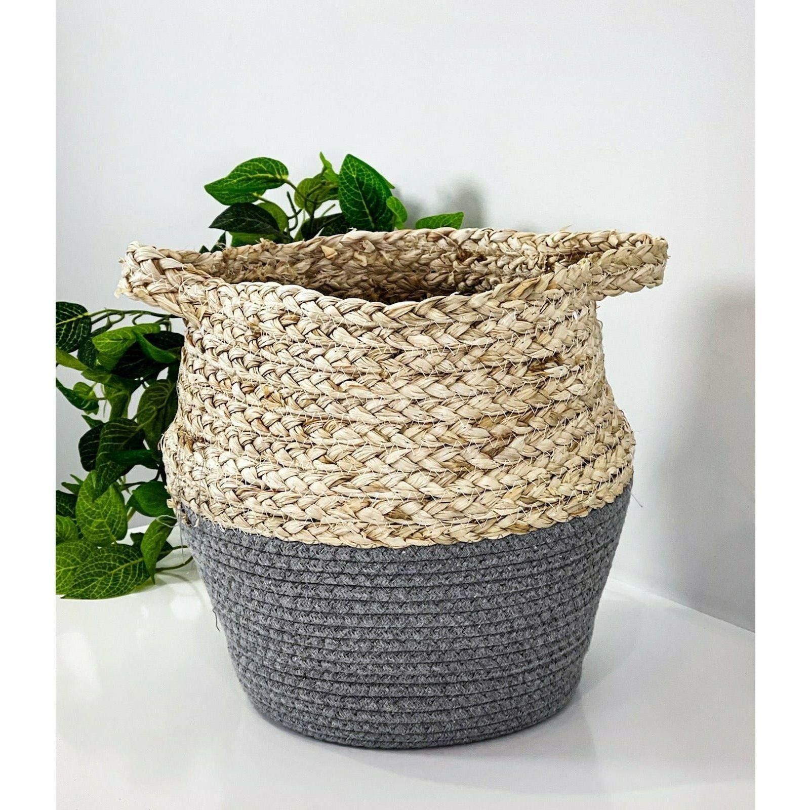 Maize with Cotton Rope Storage Basket - 24x30cm 1 Piece Assorted - Dollars and Sense