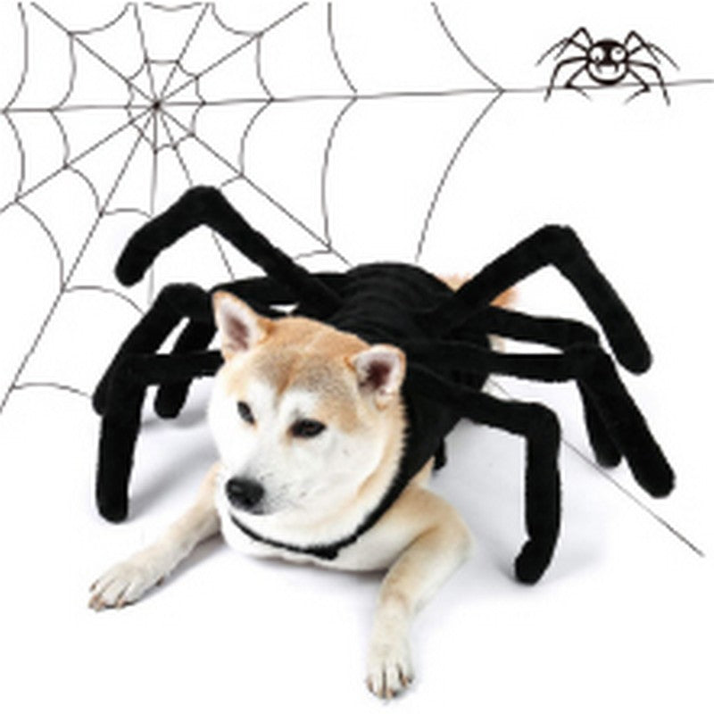 Halloween Spider Pet Costume| Dollars and Sense
