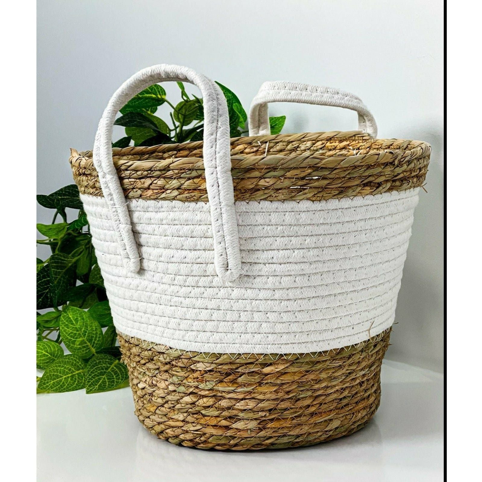 Round Basket with Handles - 32x25cm 1 Piece Assorted - Dollars and Sense