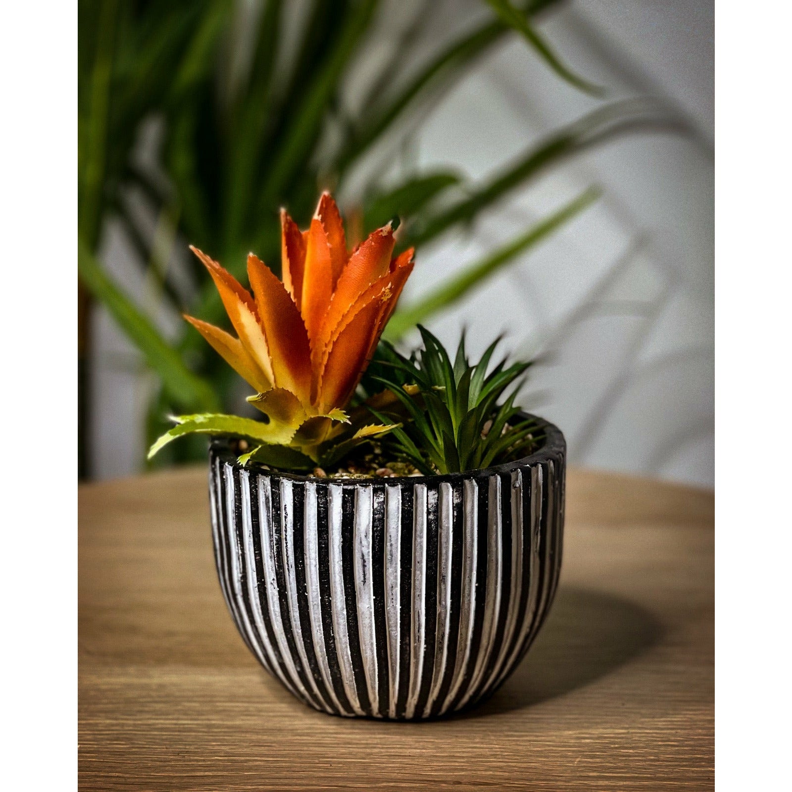 Ceramic Round Pot with Succulents Black and Grey - 1 Piece Default Title