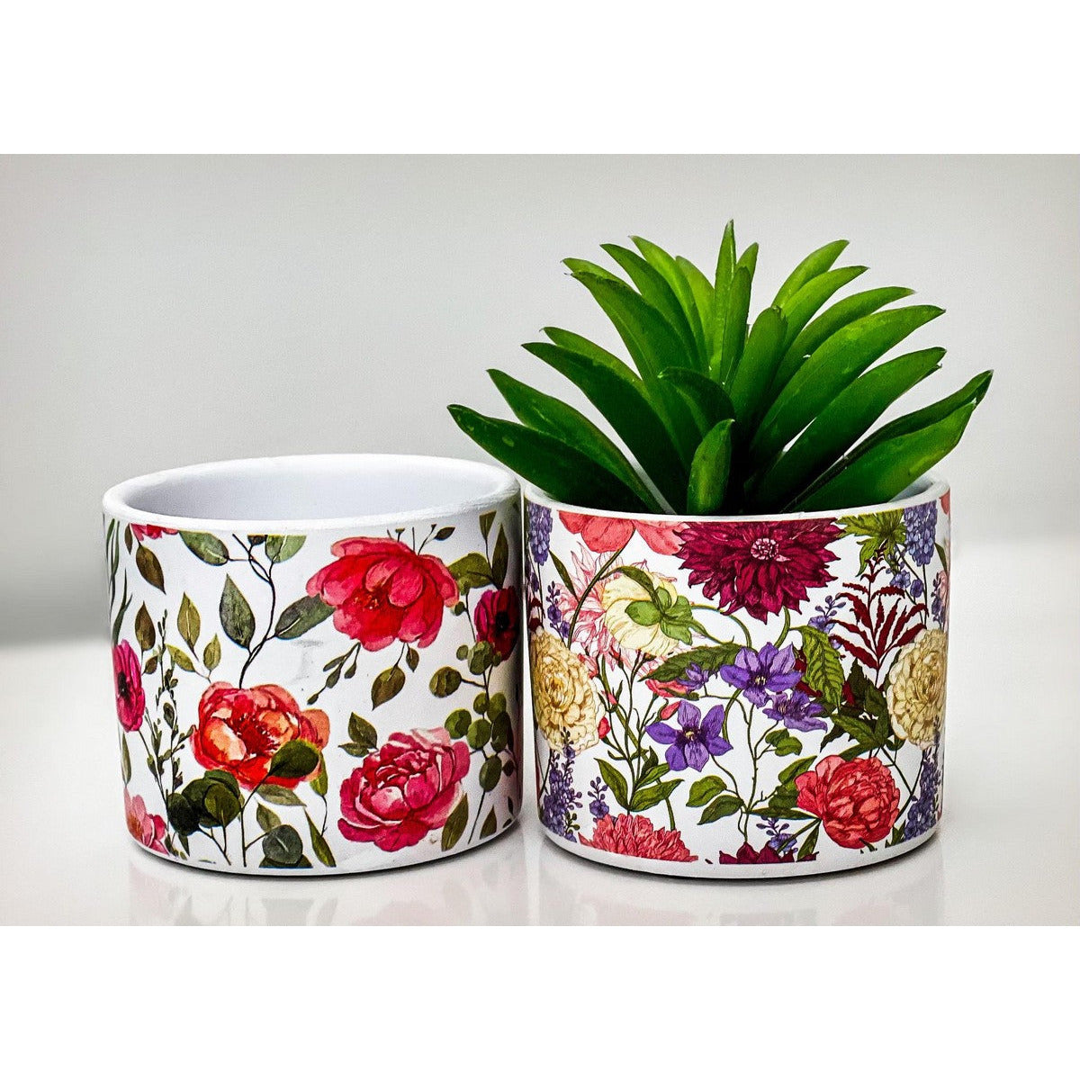 Colourful Flower Pot - Dollars and Sense